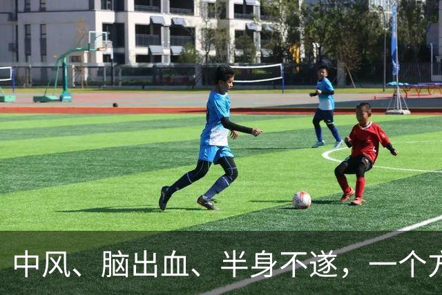 中风、脑出血、半身不遂，一个方子，气血旺了、瘀血去了、经络通了